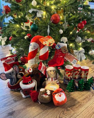 Vianočné darčeky pre štvronohích miláčikov nájdete na našom eshope 🎁🎄 Šťastné a chlpaté 🐶 www.pudlicek.sk