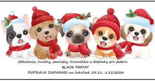 Black friday DOPRAVA ZADARMO na čokoľvek Pozor! Akcia platí iba tento víkend