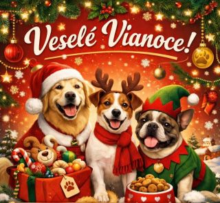 ❄️❄️❄️ Pudlíček praje pekné sviatky a psíkom moc kostí, veľa radosti, štekotu a láskavosti. Chvostíky nech sa vrtia,...